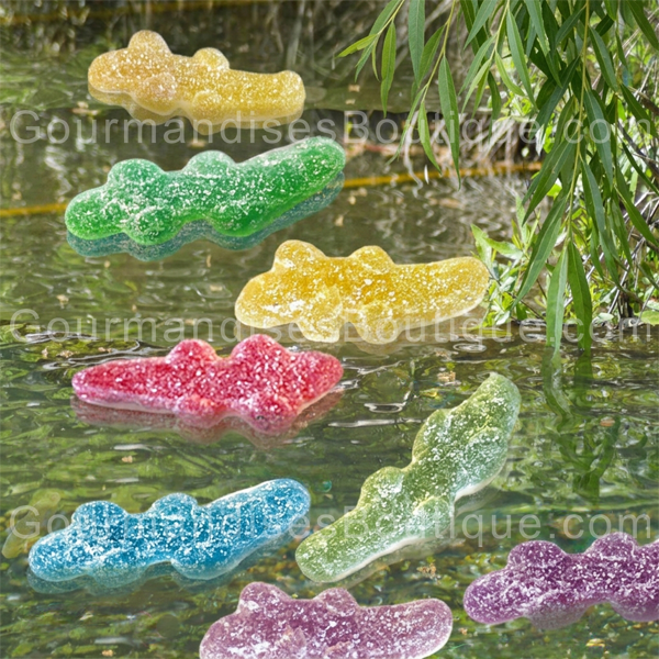 Haribo croco/crocodile Pik/citrique retro - Bonbon acide (acidulé) délicieusement piquant (Pik) de la célèbre marque Allemande.