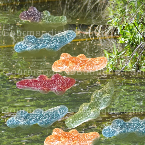 Haribo croco/crocodile Pik/acidulé (succès) - Bonbon citrique délicieusement piquant.