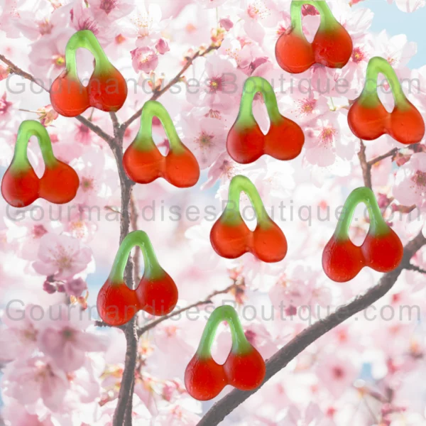 Bonbon Haribo goût cerise lisse - Confiserie Happy Cherries, délicieux/trop bon.