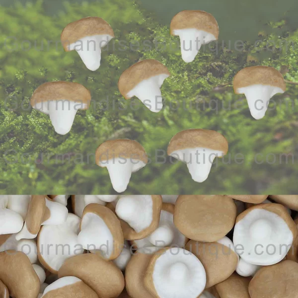 Bonbon/Confiserie Champignon goût caramel - Gourmandise moelleuse lisse.