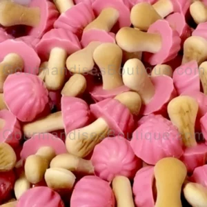 Biscuit Chanmpignon Chocolat Fraise - Confiserie artisanal criquante d'Italie.