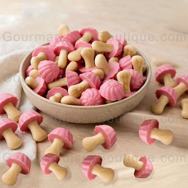 Biscuit champignon Chocolat Fraise - Confiserie/Gourmandise croquante et délicieusement savoureuse (pour desserts ou les 4 h).
