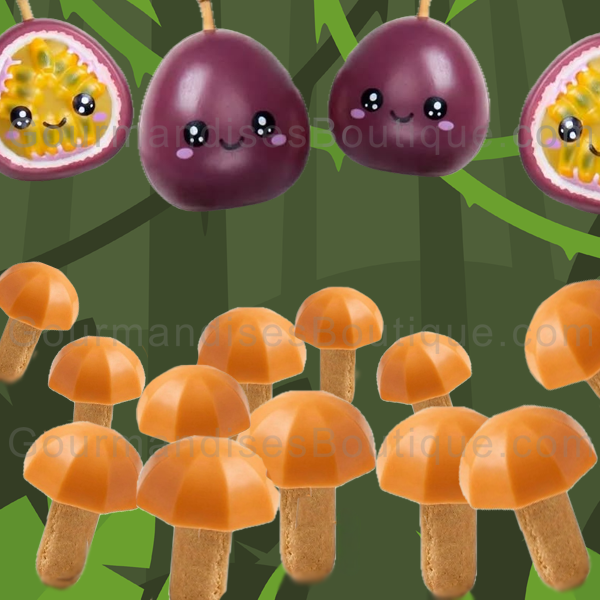 Champignon Parapluie Biscuit Saveur Exotique Fruit de la Passion.